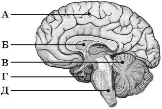 1100hfg2-fa93-318x214.png