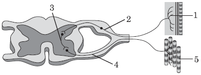 1100hfhx-4d9e-392x147.png