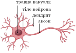 1100hfkd-0d02-249x174.png