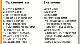 Робочий зошит «Фразеологізми»