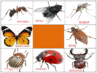 1100hmm5-dce3-97x73.png