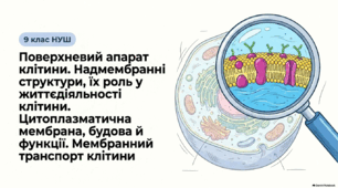 Презентація (ІІ частини), розробка уроку, робочий аркуш на тему "Поверхневий апарат клітини. Надмембранні структури, їх роль у життєдіяльності клітини. Цитоплазматична мембрана, будова й функції. Мембранний транспорт клітини" 9 клас НУШ. Соболь В.І.
