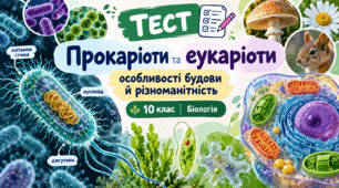 Прокаріоти та еукаріоти: особливості будови й різноманітність
