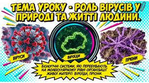 Презентація: Роль вірусів у природі та житті людини. Біологічні системи, які перебувають на молекулярному рівні організації живої матерії: віроїди, пріони. 9 клас НУШ