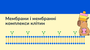 Мембрани і мембранні комплекси клітин