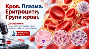 "Кров. Плазма. Еритроцити. Групи крові.  Дослідження мікроскопічної будови крові людини, жаби чи інших тварин." Презентація. Біологія.8 клас.