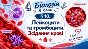 § 10. Лейкоцити та тромбоцити. Зсідання крові
