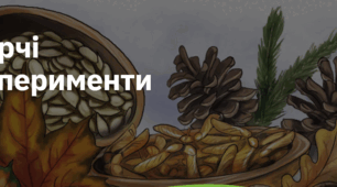 10. "ТВОРЧІ ЕКСПЕРИМЕНТИ"