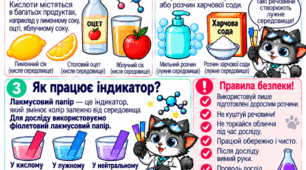 Кислоти і основи. Досліджуємо разом з Аргентумом! Модифікований дидактичний матеріал для учнів з ООП (8 клас, НУШ)