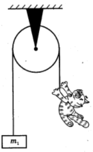 1100htrn-31f5-185x300.png