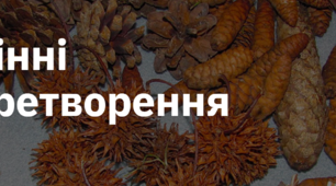 2. "ОСІННІ ПЕРЕТВОРЕННЯ"