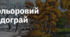 3. "КОЛЬОРОВИЙ ВОДОГРАЙ"