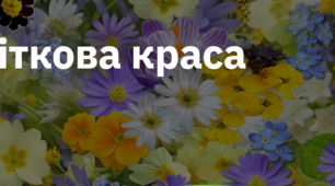 3. "КВІТКОВА КРАСА"