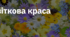 3. "КВІТКОВА КРАСА"