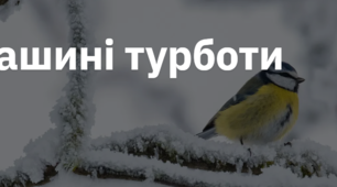 10. "ПТАШИНІ ТУРБОТИ"