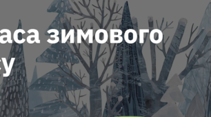 14. "КРАСА ЗИМОВОГО ЛІСУ"