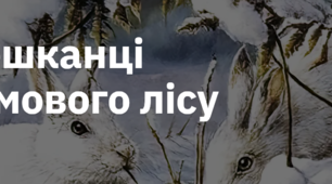 15."МЕШКАНЦІ ЗИМОВОГО ЛІСУ"