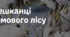 15."МЕШКАНЦІ ЗИМОВОГО ЛІСУ"