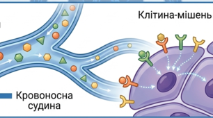 Біологія 8 клас "Будова ендокринної системи, особливості її функціонування" (Презентація)