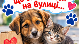 Інформаційний плакат до VII Міжнародного уроку доброти