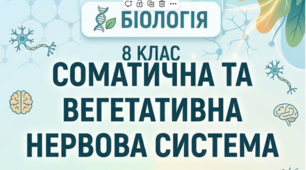 Презентація з теми: Соматична та вегетативна нервова система