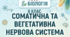 Презентація з теми: Соматична та вегетативна нервова система