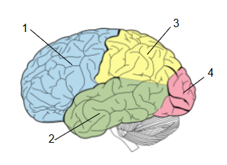 1100i4nu-63bb-327x237.png