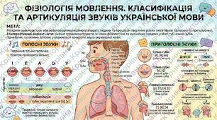 Фізіологія мовлення. Класифікація та артикуляція звуків української мови.