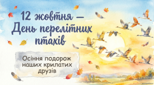 12 жовтня - ранкова зустріч. День перелітних птахів.