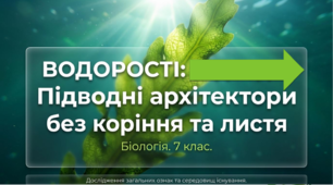 13. Загальні ознаки водоростей