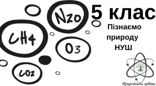 Тема: Порівняння властивостей твердих тіл, рідин і газів.
