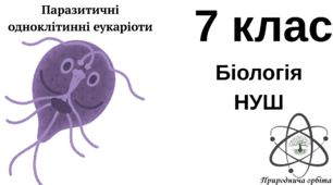 Тест з теми "Паразитичні одноклітинні евкаріоти. 