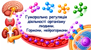 Гуморальна регуляція діяльності організму людини. Гормони, нейрогормони.
