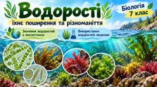 "Водорості, їхнє поширення  та різноманіття Значення водоростей в  екосистемах. Використання  водоростей людиною" Презентація.Біологія .7 клас.НУШ.