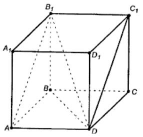 1100illt-c448-286x274.jpg