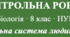 Контрольна робота з відповідями. Дихальна система 8 клас