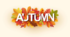 Презентація AUTUMN. Reading and Speaking. Level A-1.