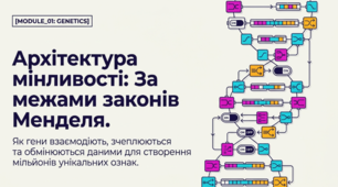 Взаємодія генів, зчеплення та кросинговер