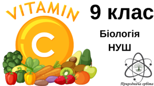 Біологічно активні речовини: вітаміни, гормони, нейрогормони, фітогормони та антибіотики.  