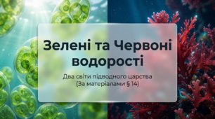 14. Зелені та Червоні водорості