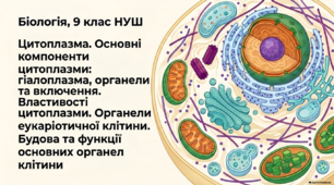 Презентація, розробка уроку на тему "Цитоплазма. Основні компоненти цитоплазми. Властивості цитоплазми. Органели еукаріотичної клітини. Будова та функції основних органел". Лабораторна робота № 5 "Рух цитоплазми в клітинах елодеї". 9 клас НУШ. Соболь В.І.