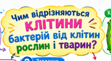 Клітина — елементарна структурно-функціональна одиниця живого. Відмінність клітини бактерій від клітин рослин і тварин. Клітинна теорія. (інфографіка+робочий аркуш)