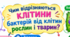 Клітина — елементарна структурно-функціональна одиниця живого. Відмінність клітини бактерій від клітин рослин і тварин. Клітинна теорія. (інфографіка+робочий аркуш)