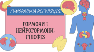 Гуморальна регуляція функцій організму