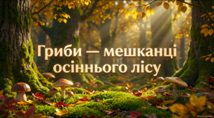 Презентація «Гриби — мешканці осіннього лісу» - для дітей 4-5 років