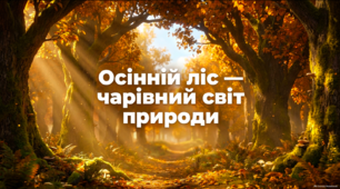 Презентація «Осінній ліс — чарівний світ природи» - для дітей 4-5 років
