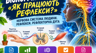 Біологічний квест «Як працюють рефлекси?» | Біологія 8 клас НУШ | 2 варіанти + відповіді