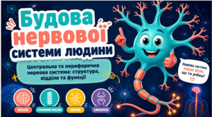 Презентація "Будова нервової системи людини"