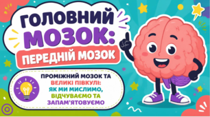 Головний мозок:передній мозок