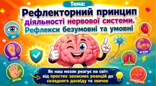 Рефлекторний принцип діяльності нервової системи.Рефлекси безумовні та умовні